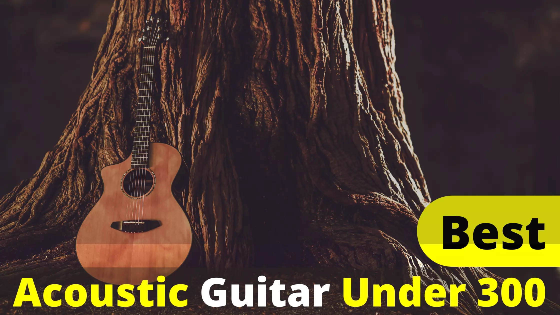 Best Acoustic Guitar Under 300 With Complete Shopping Tips